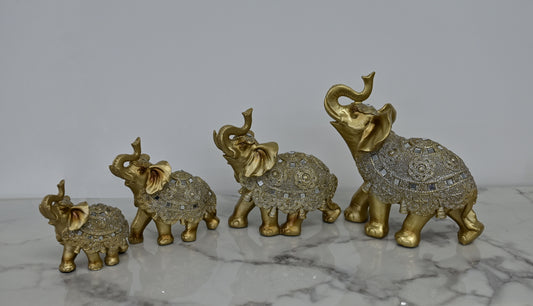 DR-Shiny elephant